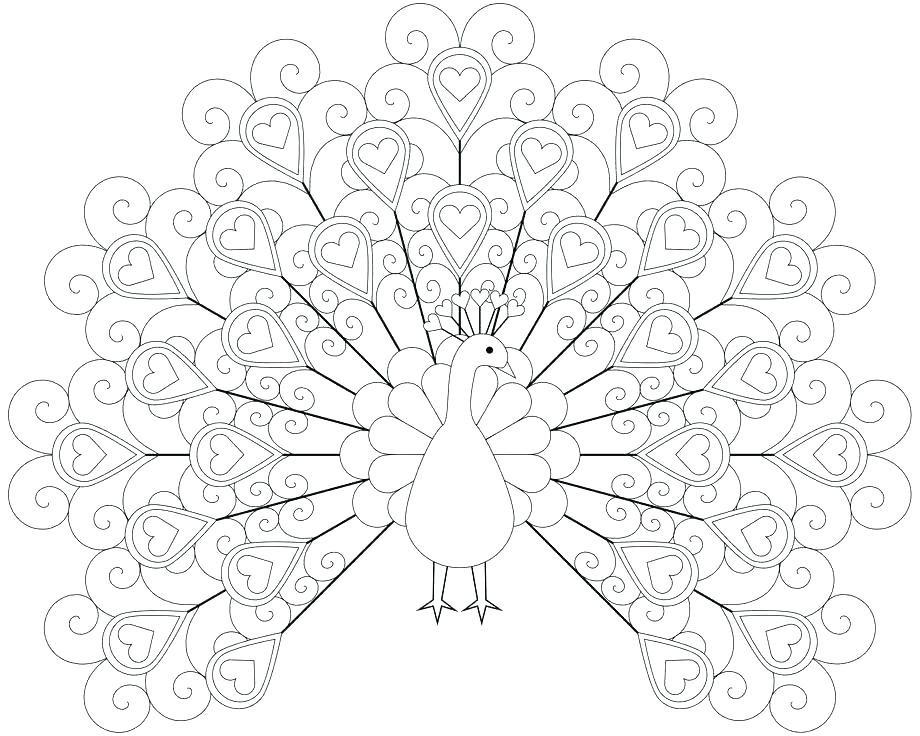 920x736 Cool Peacock Feather Coloring Page