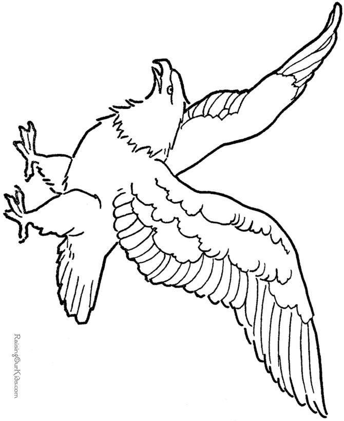 Coloring Pages Of An Eagle