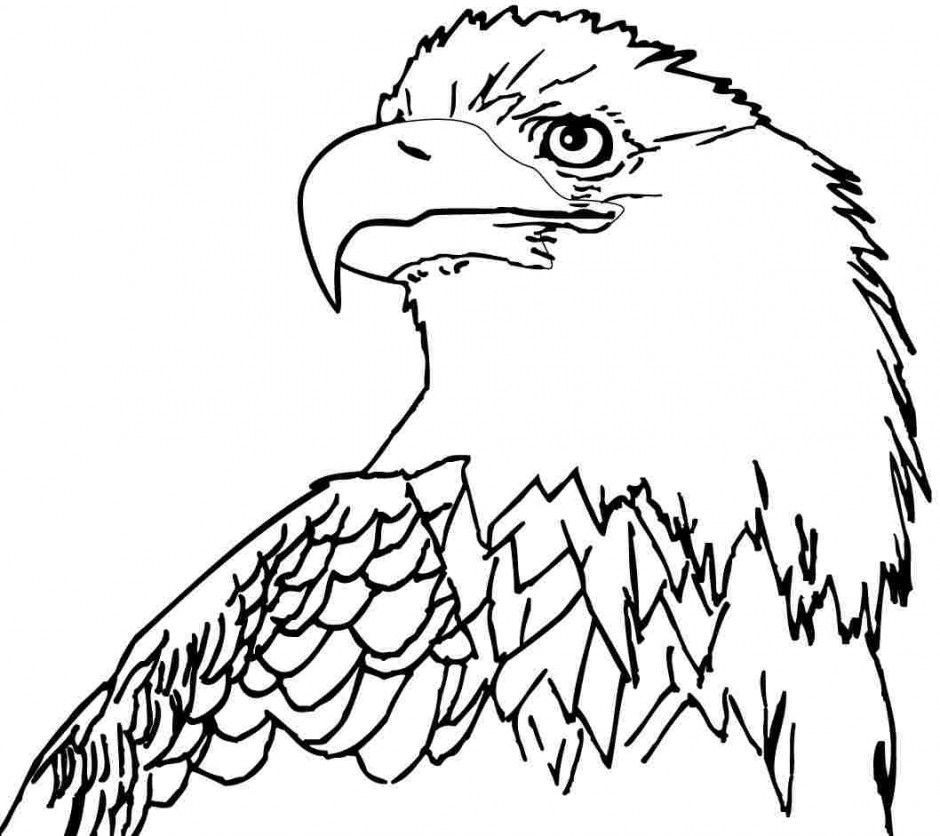 940x836 Free Bald Eagle Coloring Pages