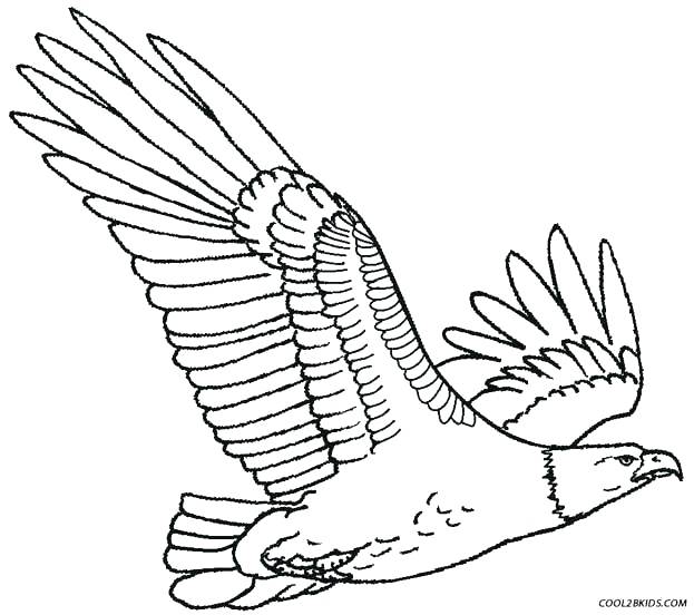 623x552 Philadelphia Eagles Coloring Pages Gorgeous Ideas Eagle Coloring