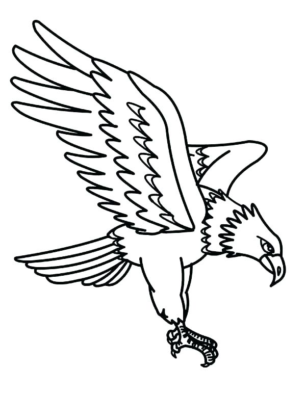 600x775 American Bald Eagle Coloring Page Eagle Coloring Pages Eagle Color