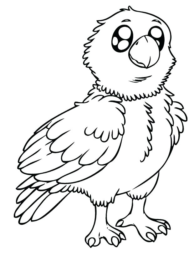 620x834 Baby Eagle Coloring Pages Kids Coloring Pages Eagle Baby Eagle