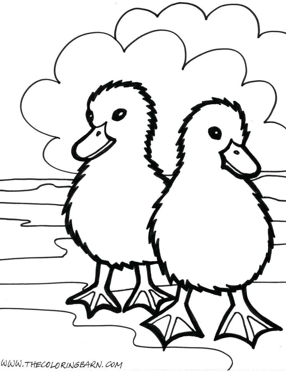 1000x1300 Coloring Page ~ Coloring Pages Of Farm Animals Page Fun And Their