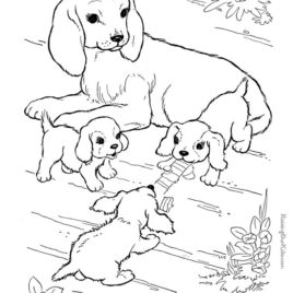 268x268 Coloring Pictures Of Farm Animals And Their Babies 1000 Ideas