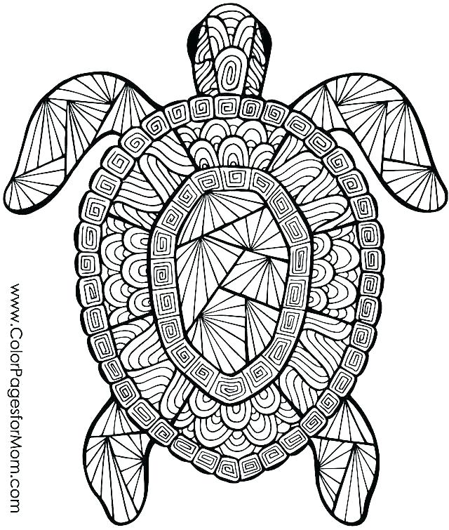 640x755 Free Coloring Pages Animals