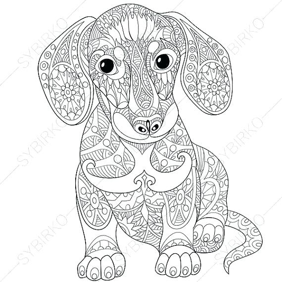 570x570 Animal Coloring Pages For Adults Animal Coloring Pages Full Size