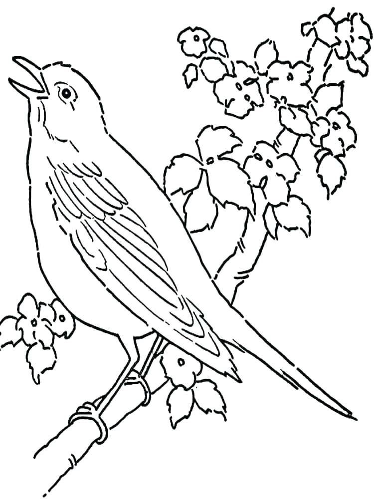 Green Arrow Coloring Pages Black Canary Coloring Pages Coloring 750x1000 Green Arrow Coloring Pages Black Canary Coloring Pages Coloring