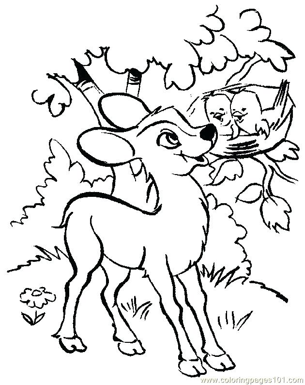 630x794 Baby Deer Coloring Pages Baby Coloring Page Mother And Baby Deer