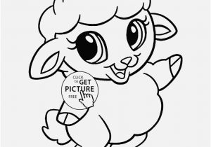 Baby Dolphin Coloring Pages Pictures Galapagos Sea Lion Posing 300x210 Baby Dolphin Coloring Pages Pictures Galapagos Sea Lion Posing