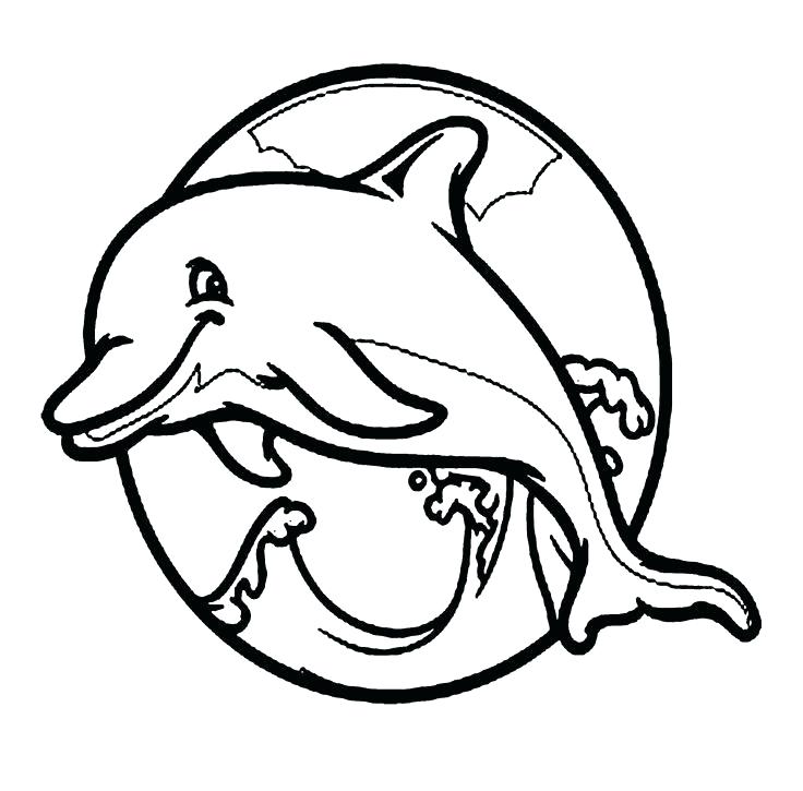 Cute Dolphin Coloring Pages Baby Dolphin Coloring Page Fan Picture 736x725 Cute Dolphin Coloring Pages Baby Dolphin Coloring Page Fan Picture