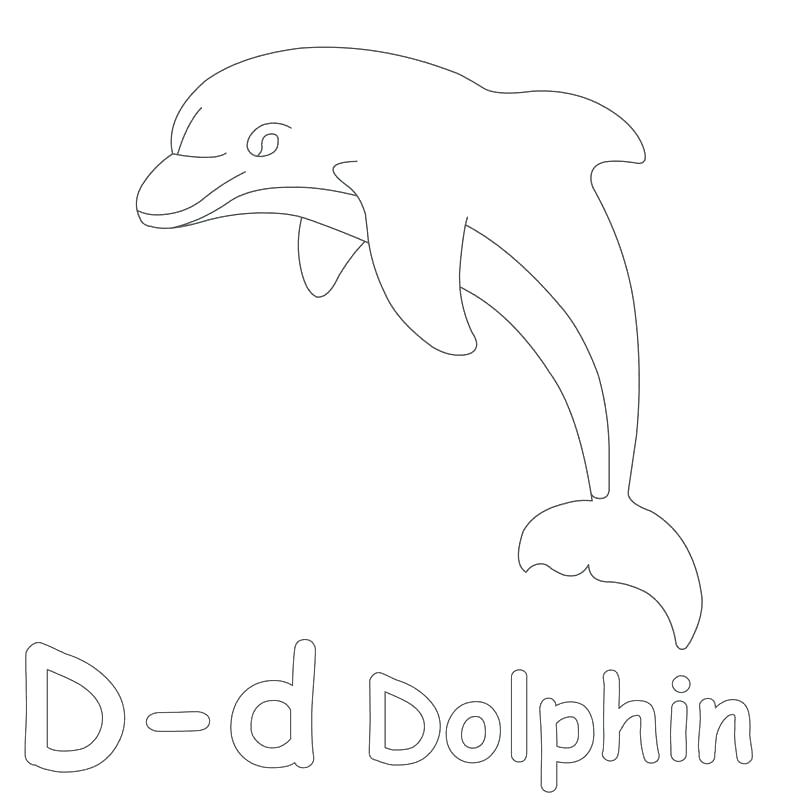 Perfecto Coloring Pages Of Baby Dolphins 800x800 Perfecto Coloring Pages Of Baby Dolphins