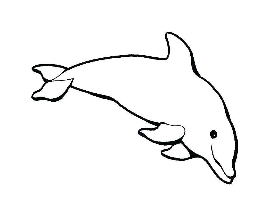 Coloring Pagesdolphin 893x683 Coloring Pagesdolphin