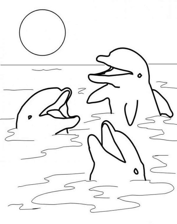Baby Dolphin Coloring Pages Fun Time 600x760 Baby Dolphin Coloring Pages Fun Time