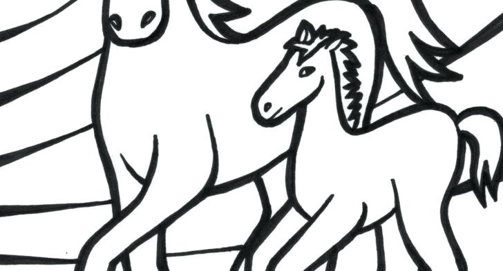 Baby Dolphin Coloring Pages Baby Dolphin Coloring Page Baby 728x393 Baby Dolphin Coloring Pages Baby Dolphin Coloring Page Baby