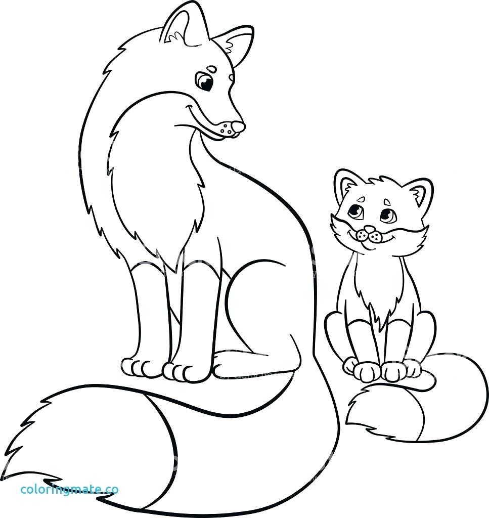 967x1024 Baby Fox Coloring Pages 13