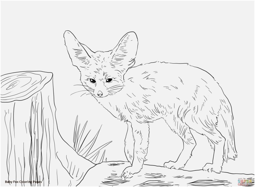 827x609 Fox Coloring Sheet Photo Simplistic Baby Fox Coloring Pages Free