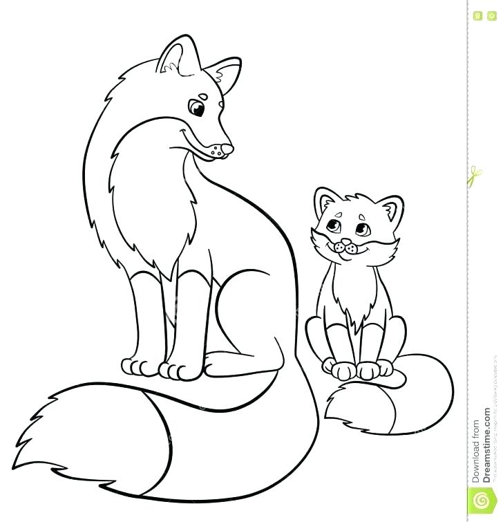 728x755 Red Fox Coloring Pages Long Tailed Desert Fox Coloring Pages Free