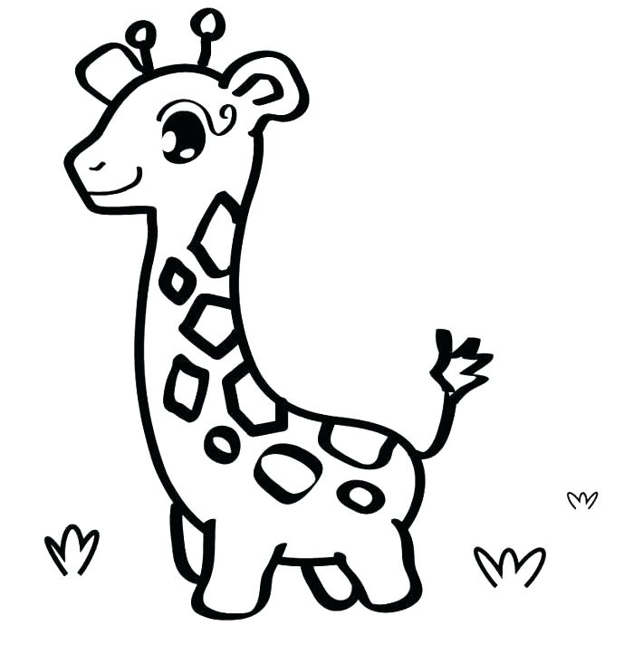 700x723 Giraffe Color Page Coloring Page Giraffes Color Picture