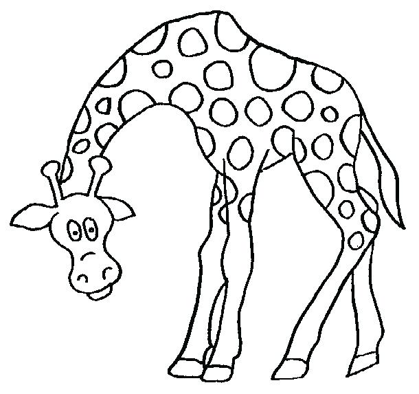 610x573 Giraffe Color Page Giraffes Coloring Pages Giraffe Coloring Book