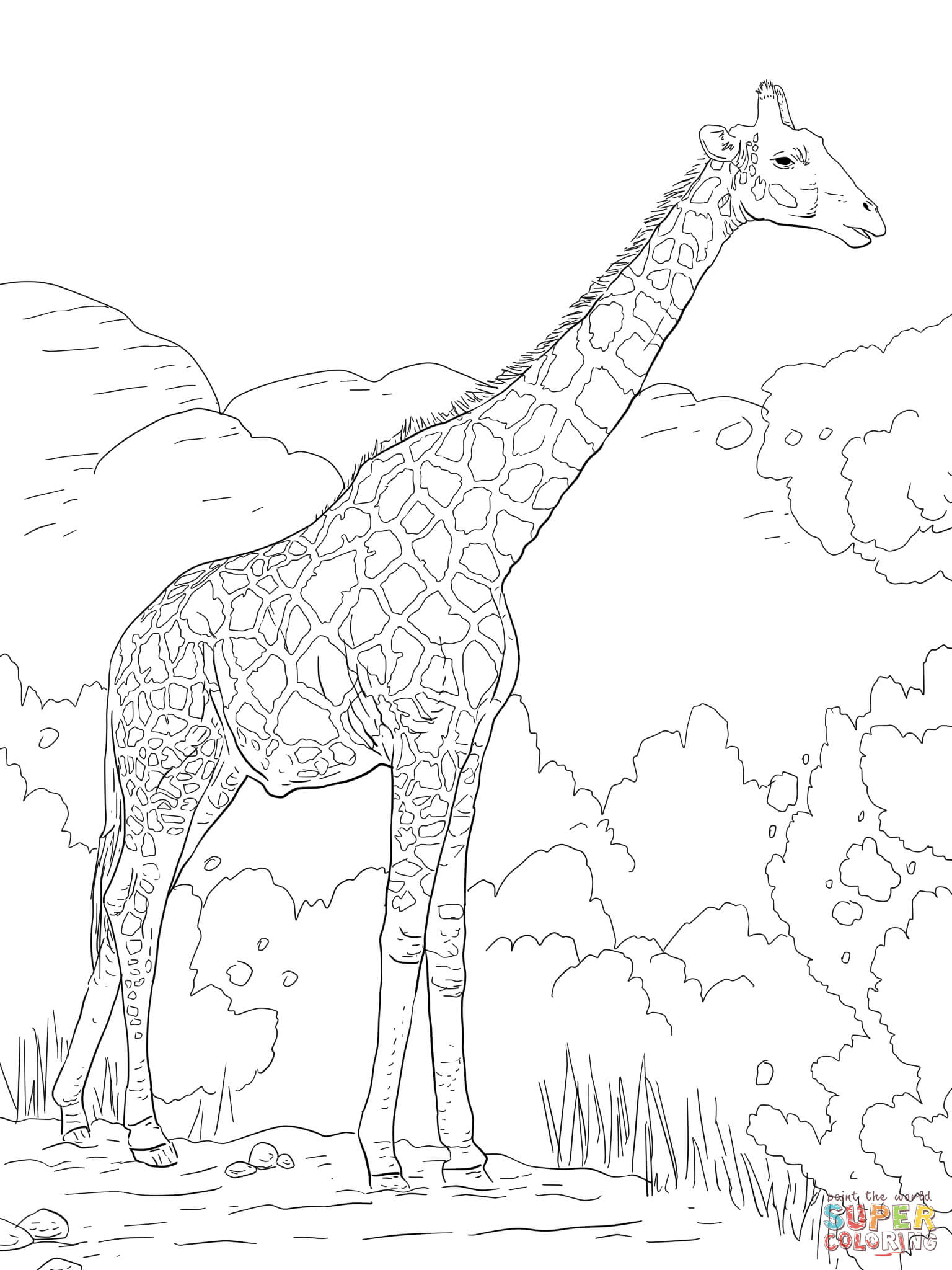 1536x2048 Wonderful Giraffe Coloring Pages Preschool For Sweet Giraffe