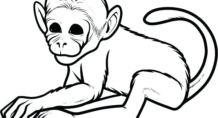 728x393 Printable Monkey Coloring Pages Monkey Coloring Pages With Cartoon