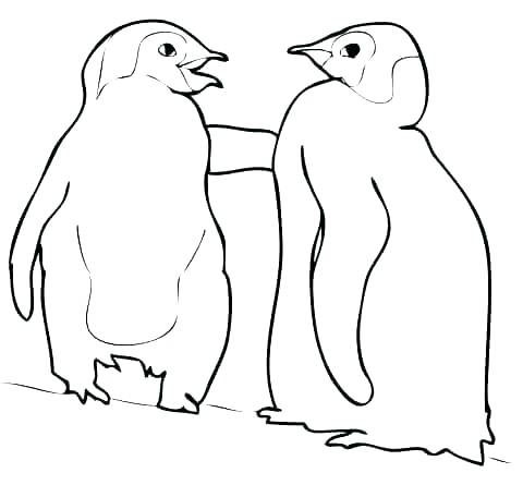 Appealing Baby Penguin Coloring Pages Appealing Baby Penguin 480x445 Appealing Baby Penguin Coloring Pages Appealing Baby Penguin