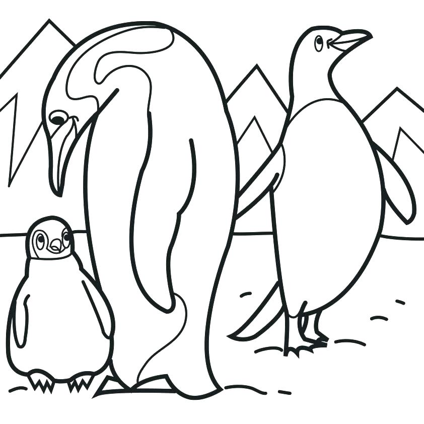 Penguins Coloring 842x842 Penguins Coloring