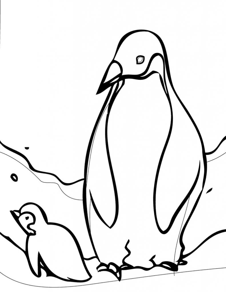 Baby Penguin Animal Coloring Page For Pages Of General Penguins 791x1024 Baby Penguin Animal Coloring Page For Pages Of General Penguins