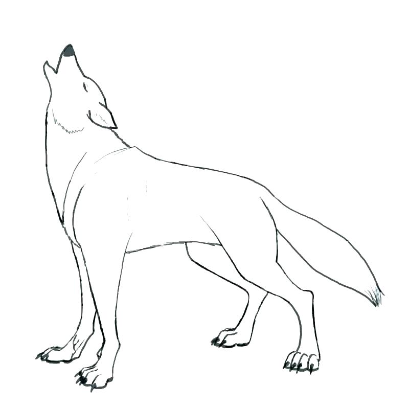 800x800 Coloring Pages Of Wolves Plus Coloring Pages Animals Wolf 5