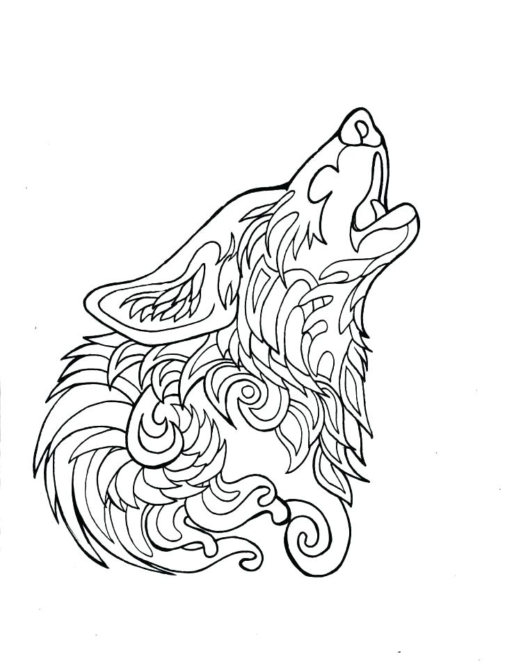 762x960 Wolf Color Page Angry Wolf S Print Coloring Pages Baby Wolf Color