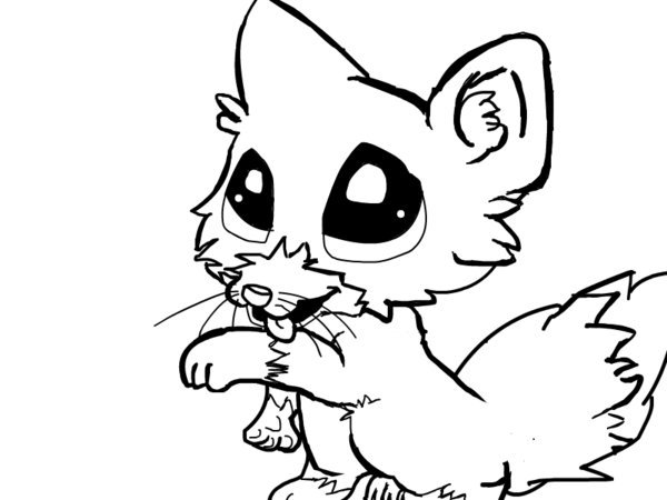 600x450 Coloring Pages Baby Wolf Bgcentrum
