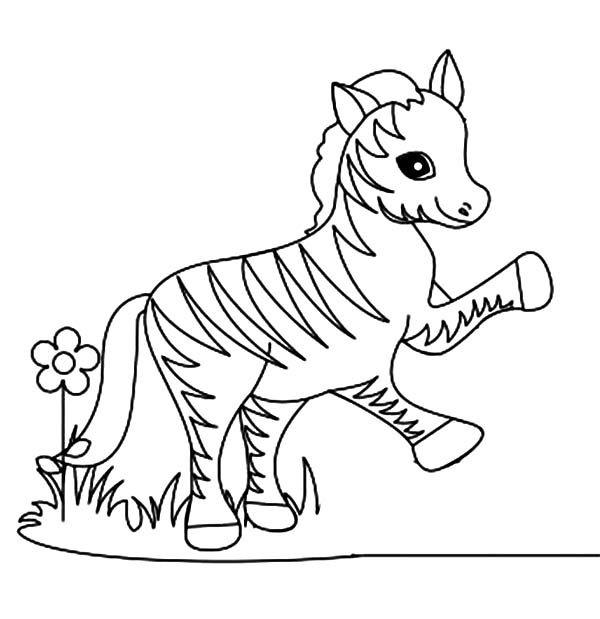 600x619 Funny Little Zebra Coloring Page