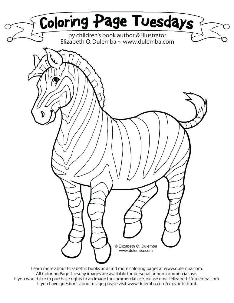 773x1000 Zebra Color Page Baby Zebra Coloring Pages Zebra Color Page