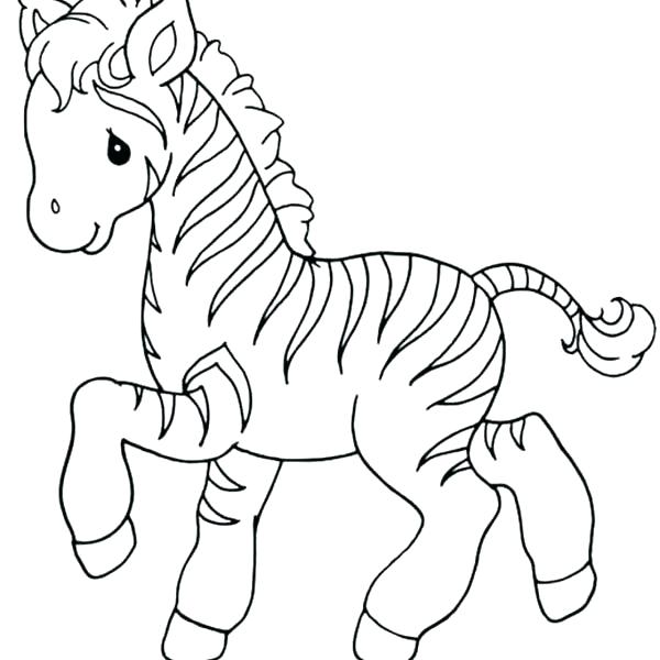 600x600 Baby Zebra Coloring Pages