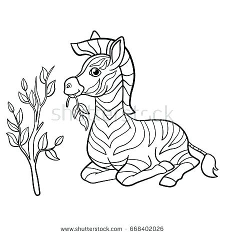 450x470 Baby Zebra Coloring Pages Zebra Color Sheet Z For Zebra Coloring