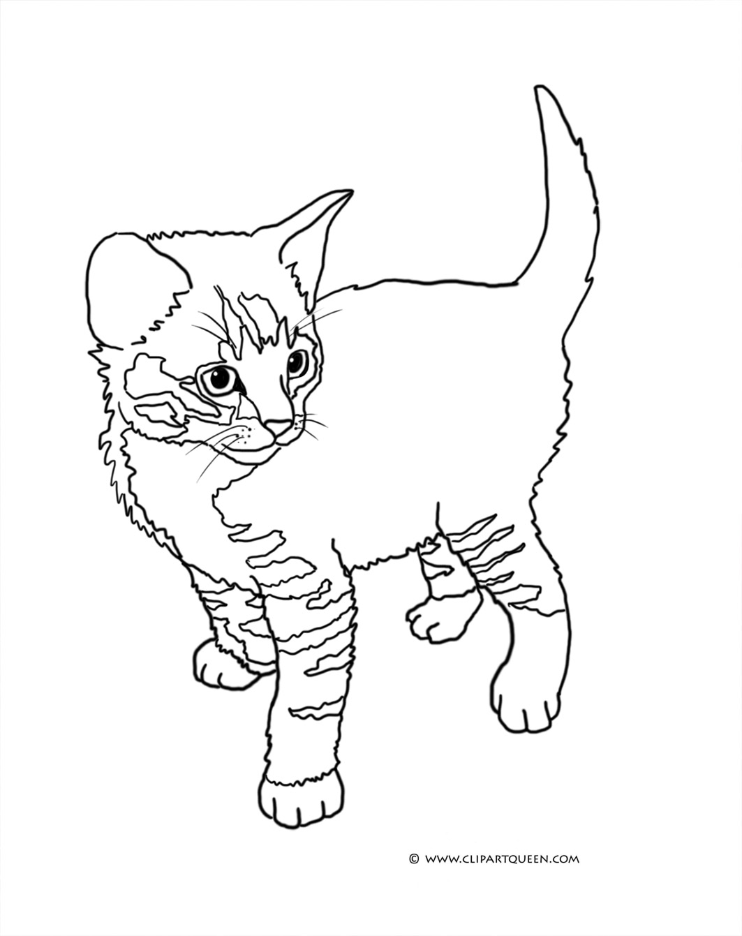 1063x1341 Survival Coloring Pages Of Real Kittens Cat