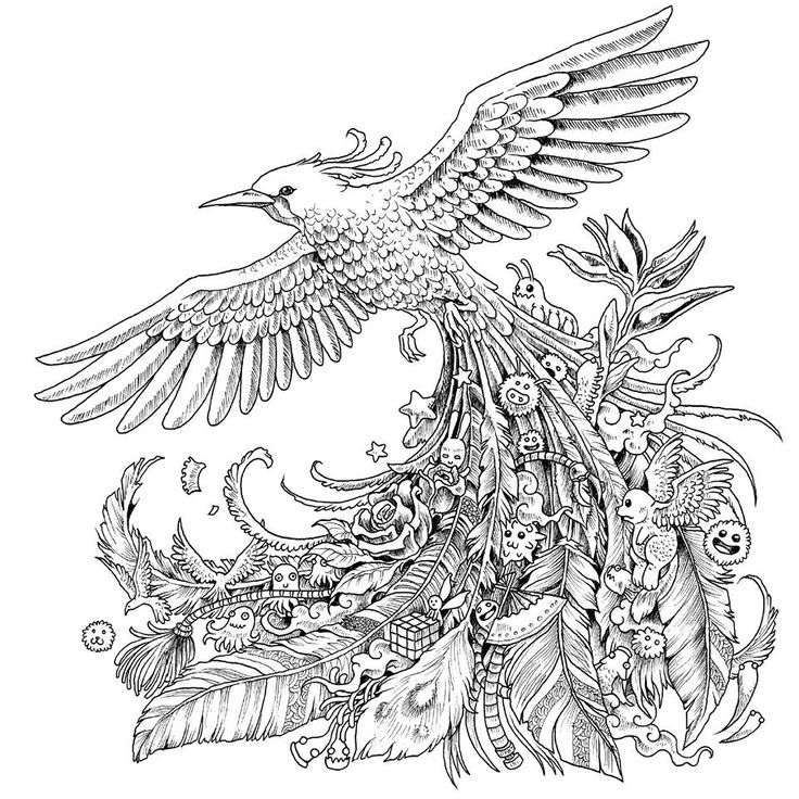 736x736 Check Out This Very Interesting Bird Adult Coloring Picture