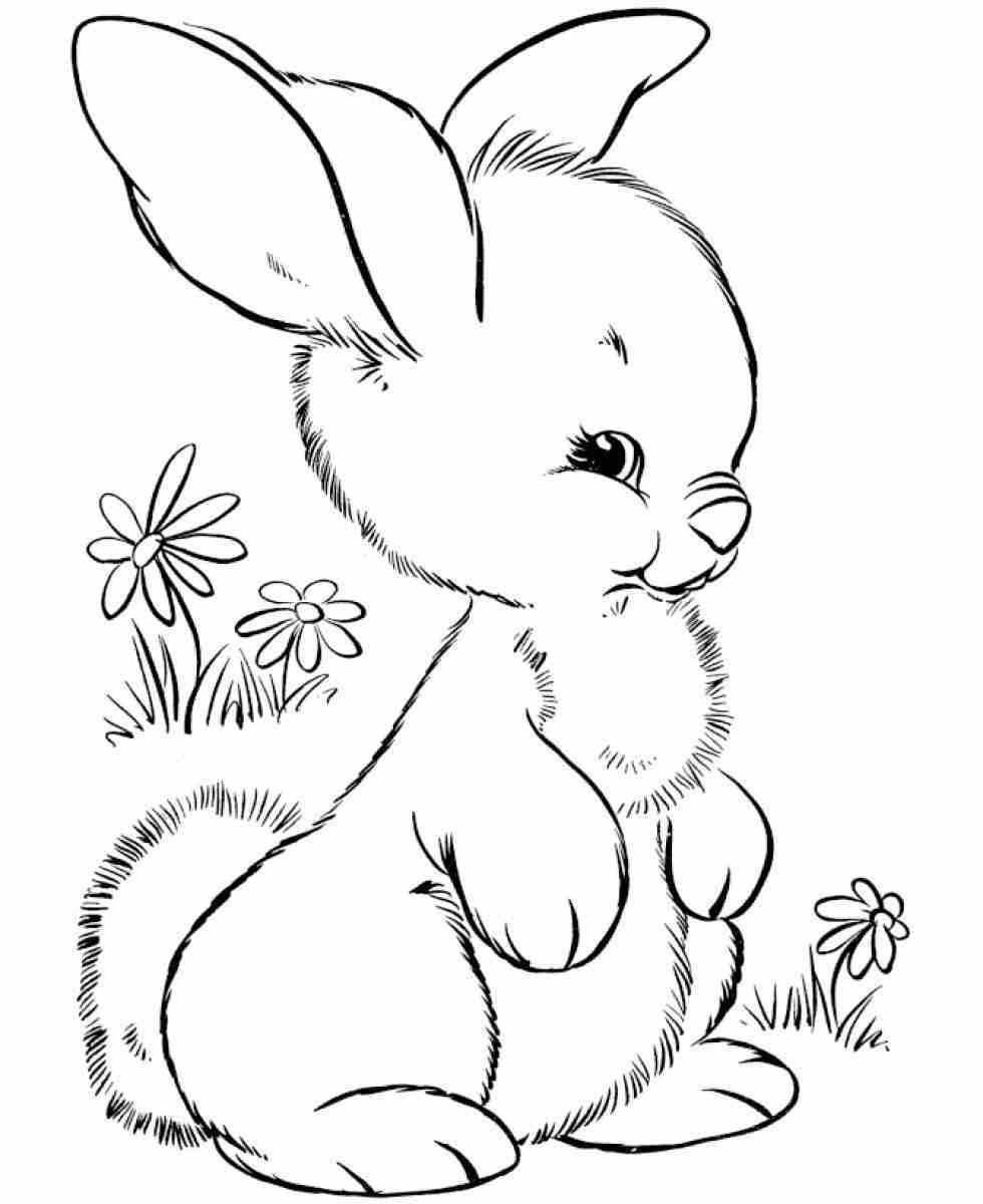 Cute Coloring Pages Of Baby Bunnies Coloring Pages