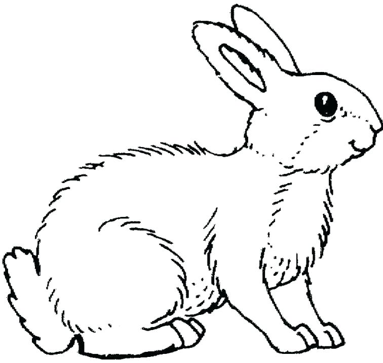756x716 Coloring Pages Of Cute Baby Bunnies 2099524
