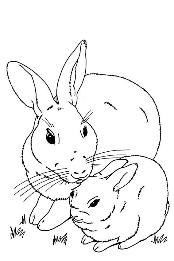 567x850 Cute Baby Bunnies Coloring Pages