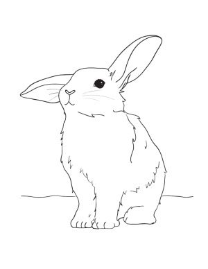 300x388 Of Cute Baby Bunnies Coloring Page Free Download