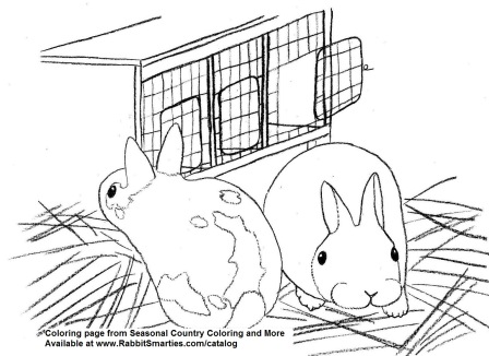 448x326 Baby Polish Bunnies And Hutch Cute Coloring Page Rabbit Smarties