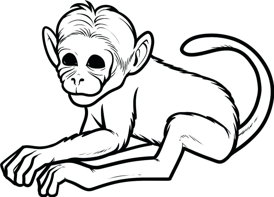 900x647 51 Inspirational Howler Monkey Coloring Page Coloring Pages