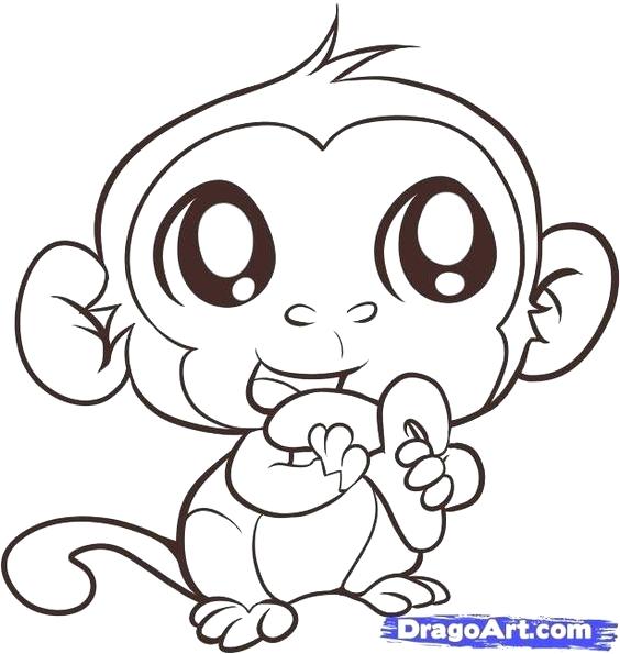 564x595 Monkey Color Page Cute Monkey Coloring Pages To Print Very Happy