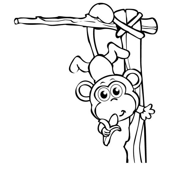 600x600 Cute Baby Monkey Hanging On Its Tail Eating Banana Coloring Page