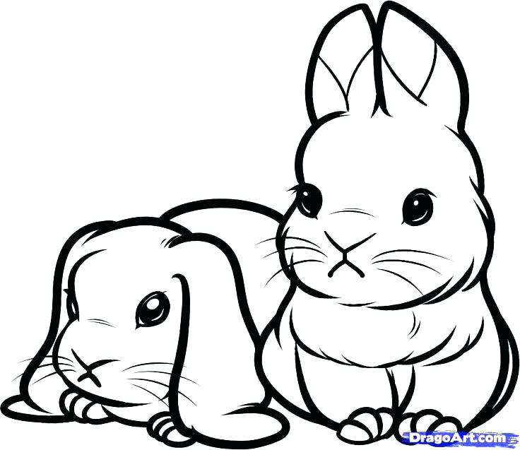 Baby Rabbit Coloring Pages Rabbits Coloring Pages Cute Bunny 736x637 Baby Rabbit Coloring Pages Rabbits Coloring Pages Cute Bunny
