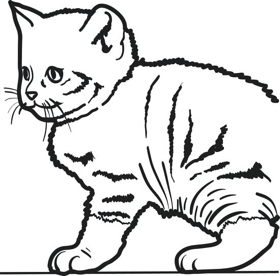 550x541 Coloring Pages Of Cats Stunning Cute Cat Coloring Pages Especially