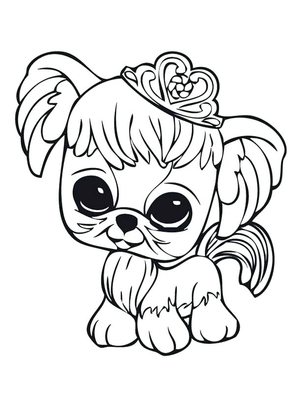 600x834 Coloring Pages Dogs Realistic Dog Coloring Pages Printable