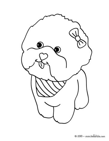 363x470 Maltese Dog Puppy Coloring Page For Kids. Add Some Colors