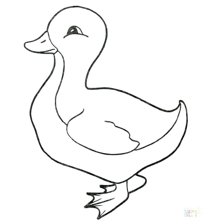 Coloring Pages Of Cute Ducks at GetColorings.com | Free printable ...